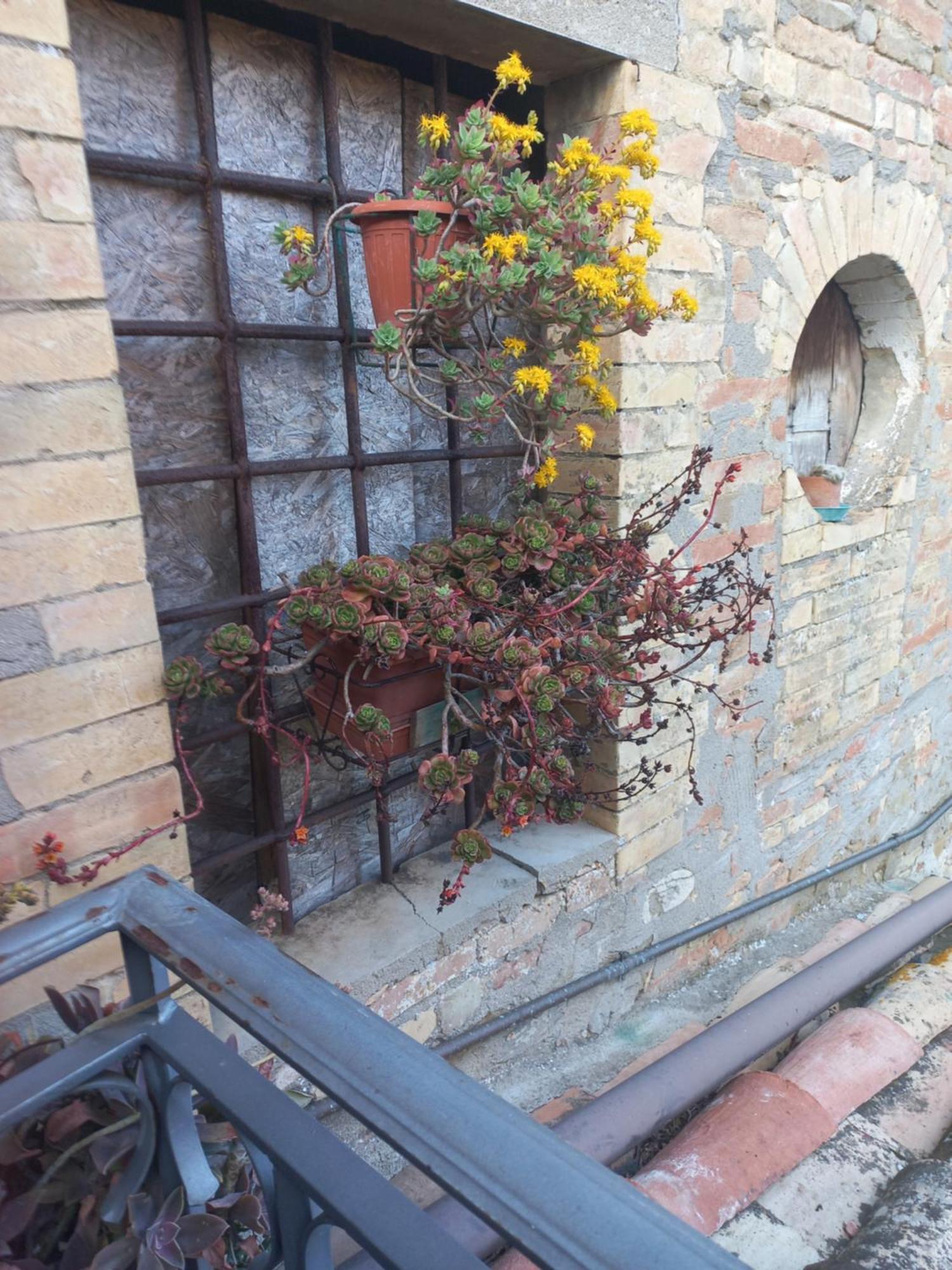 Fattoria Di Rigone Villa Coltavolino Exterior photo